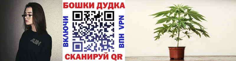 Бошки марихуана White Widow  купить наркотик  Моршанск 